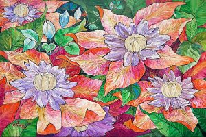 Clematis