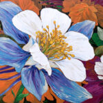 Colorado / Aquilegia Flower