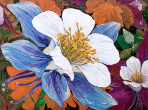 Colorado / Aquilegia Flower