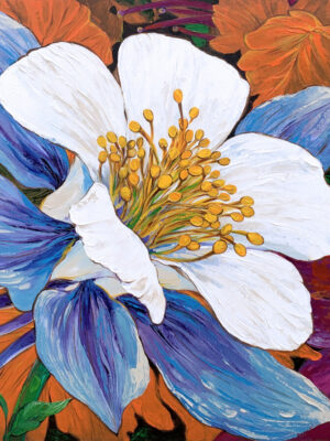 Colorado / Aquilegia Flower