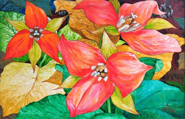 Red Trillium