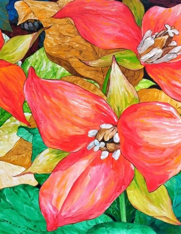 Red Trillium