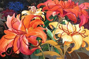 Spider Lily