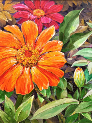 Zinnia Flower