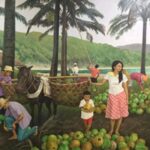 Coconut Harvest