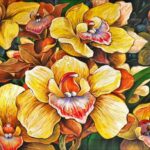 Cymbidium Orchids