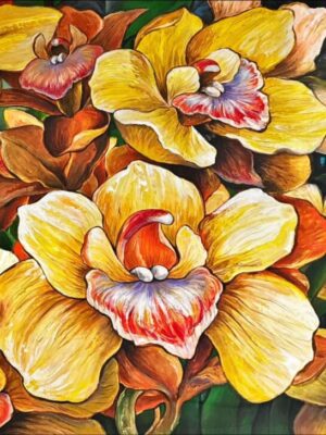 Cymbidium Orchids