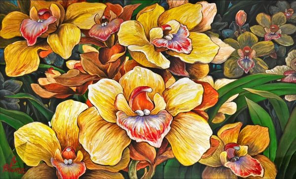 Cymbidium Orchids