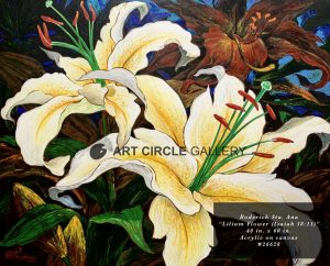 Lilium