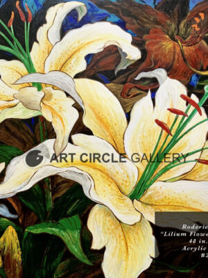 Lilium