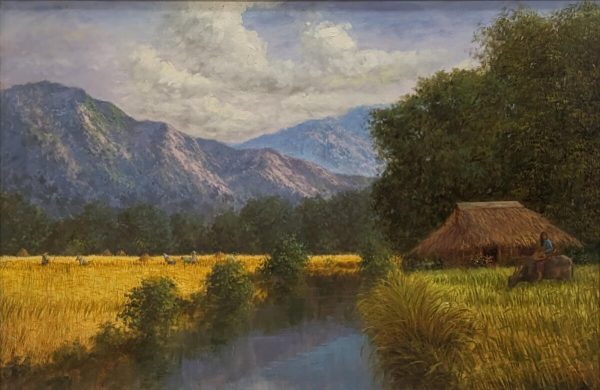 Serenity in the Fields