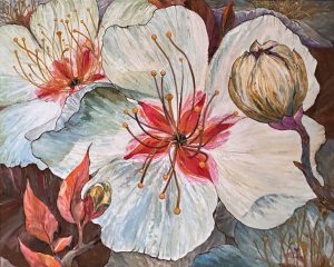 Blossoms of Beauty