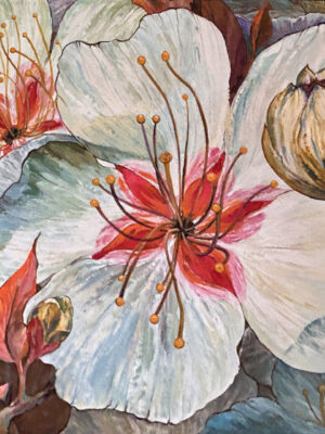 Blossoms of Beauty