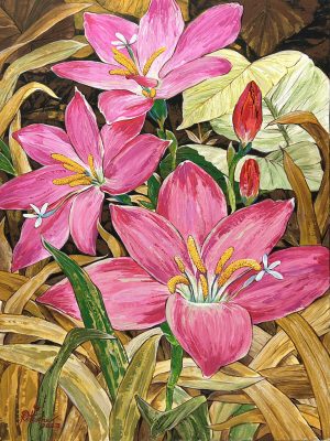 Tiger Lily