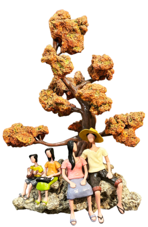 Serenade in the Shade