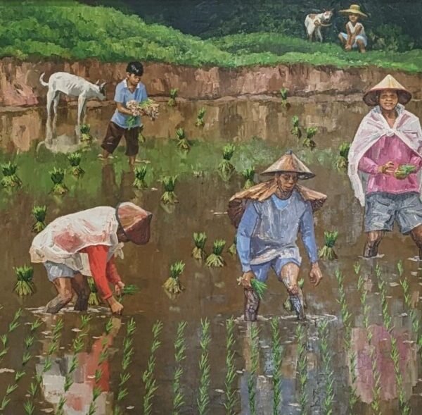 Harmony in the Fields