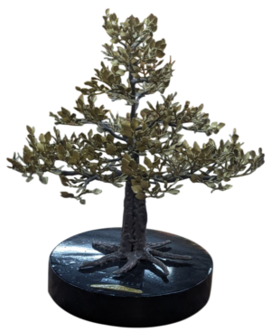 Narra Tree