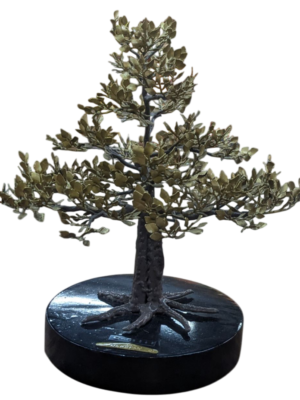 Narra Tree