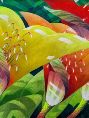 Bromeliad