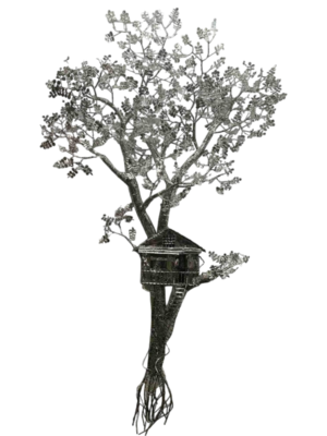 Blossoms of Prosperity: The Money Tree