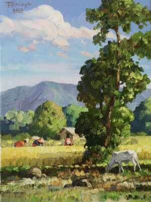 Gift Of The Fields