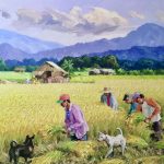 Fields of Plenty