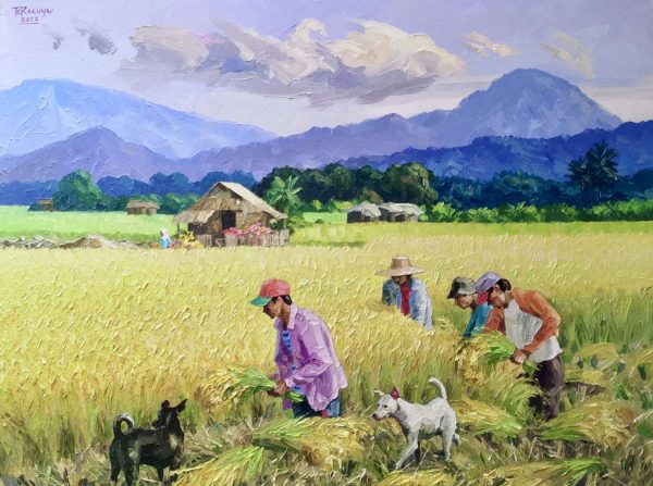 Fields of Plenty