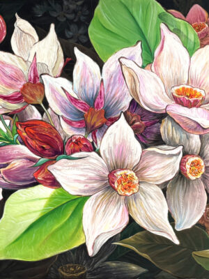 Magnolia