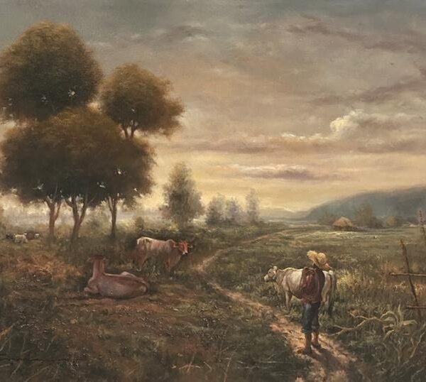 Man and Cows