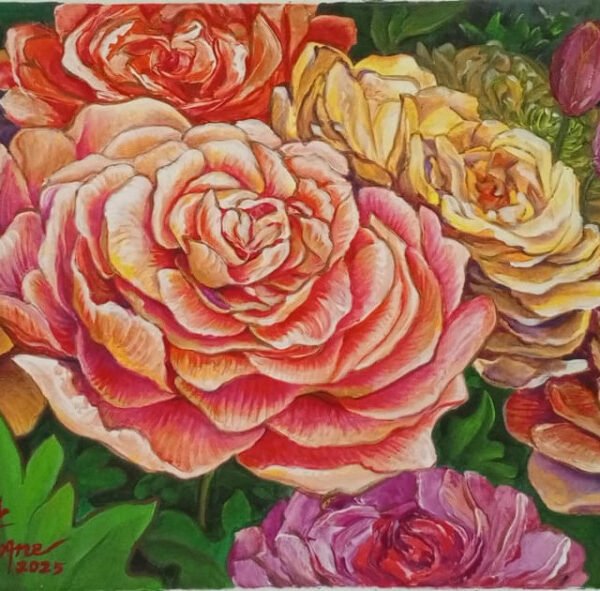 Ranuncullus
