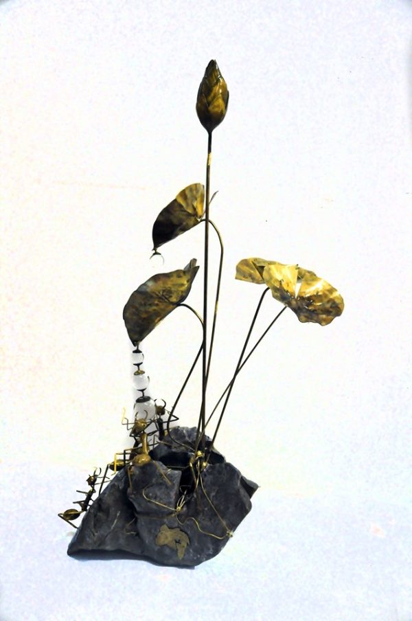 Lotus