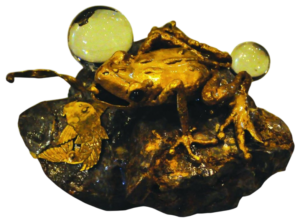 Money Frog