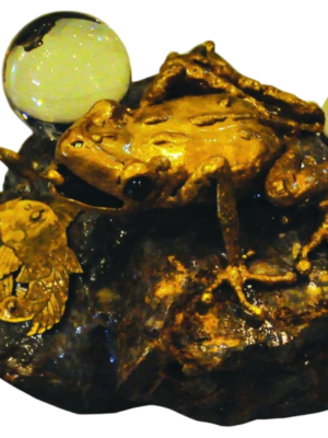 Money Frog