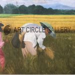 Rice Harvest