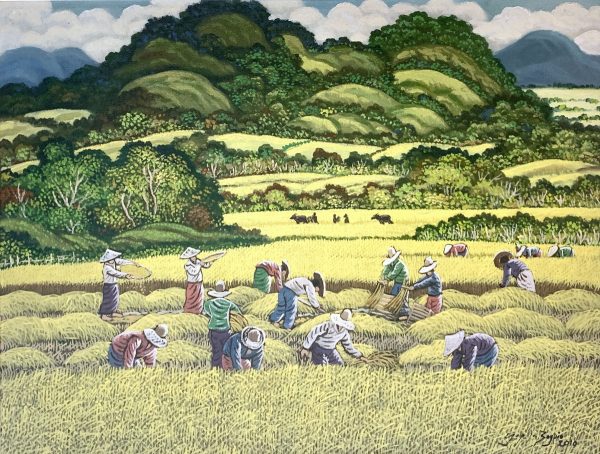 Fields of Labor