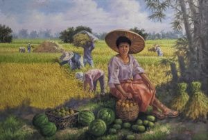 Harvest Season