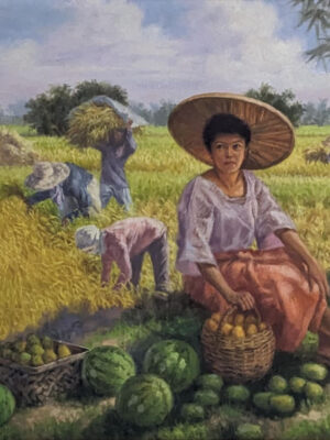 Harvest Season