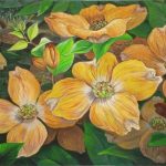 Dogwood (Flower)