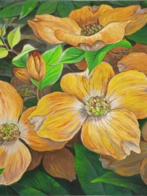 Dogwood (Flower)