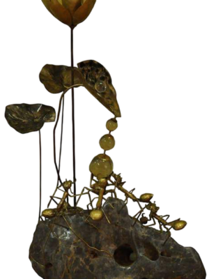Lilywatchers