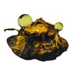 Money Frog