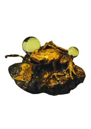 Money Frog
