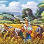 Harvest Series