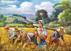Harvest Series