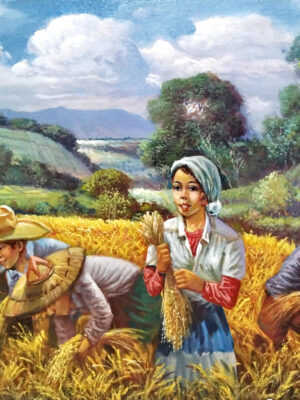 Harvest Series