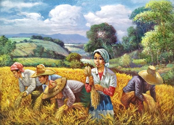 Harvest Series