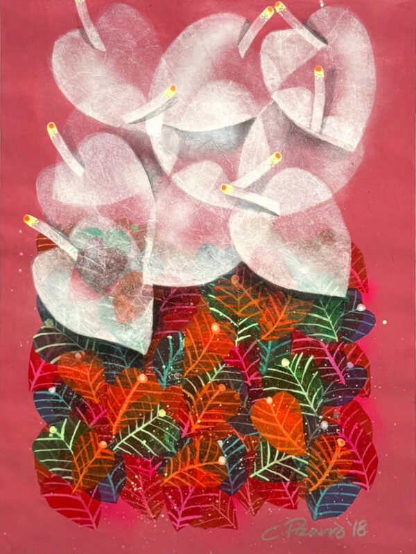 Anthurium Series