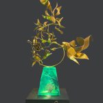 Nourishing Harmony
