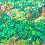 Banana Harvest