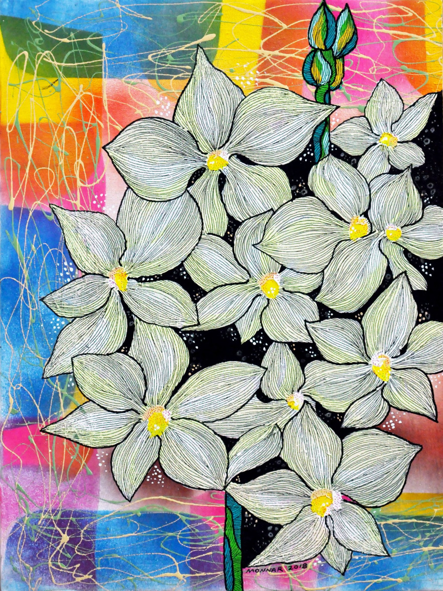 White - Flowered Orchids